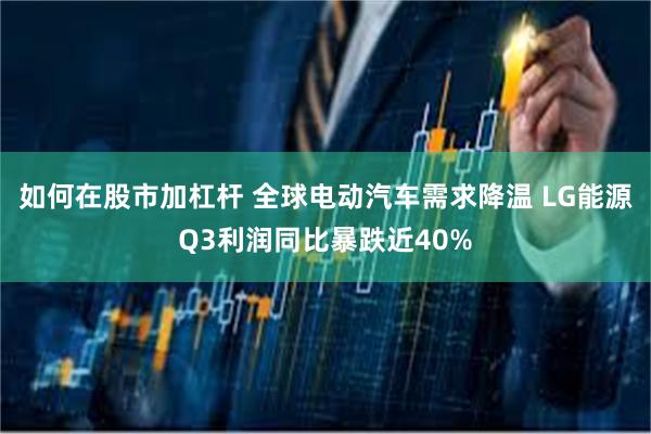 如何在股市加杠杆 全球电动汽车需求降温 LG能源Q3利润同比暴跌近40%