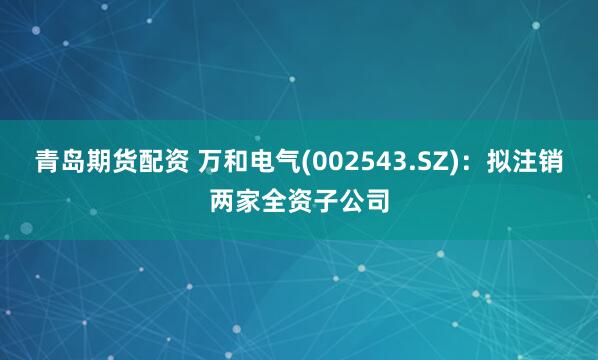 青岛期货配资 万和电气(002543.SZ)：拟注销两家全资子公司